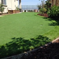 Artificial Grass Carpet Belton, Texas Garden Ideas, Backyards