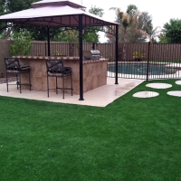 Artificial Grass Carpet Channelview, Texas Landscape Photos, Backyard Landscape Ideas