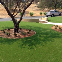 Artificial Grass Carpet Littlefield, Texas Rooftop, Small Front Yard Landscaping