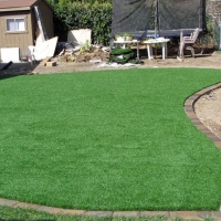 Artificial Grass Carpet Nash, Texas Roof Top, Backyard Garden Ideas