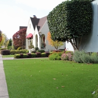 Artificial Grass Carpet Olmos Park, Texas Rooftop, Front Yard Landscaping Ideas