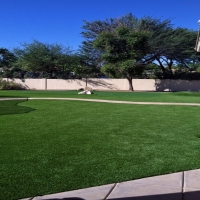 Artificial Grass Carpet Orange, Texas Landscape Photos, Front Yard Design