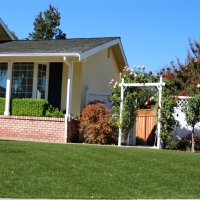 Artificial Grass Carpet Rio Bravo, Texas Landscape Design, Front Yard Design