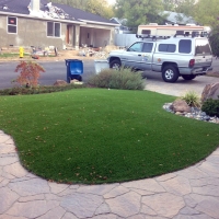 Artificial Grass Grape Creek, Texas Rooftop, Front Yard Design