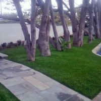 Artificial Turf Cost Zapata, Texas Backyard Deck Ideas, Landscaping Ideas For Front Yard