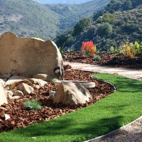 Artificial Turf Garland, Texas Roof Top, Front Yard Landscaping Ideas