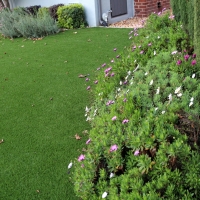 Artificial Turf Installation Buna, Texas Garden Ideas, Front Yard Landscape Ideas