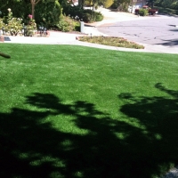 Artificial Turf Olney, Texas Gardeners, Small Front Yard Landscaping