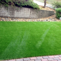 Artificial Turf Van, Texas Lawns, Front Yard Landscaping Ideas