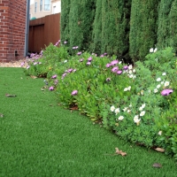 Best Artificial Grass Abram, Texas Landscape Ideas, Front Yard Landscaping