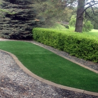 Best Artificial Grass Santa Rosa, Texas Landscape Design