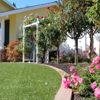 Fake Grass Bulverde, Texas Landscaping, Landscaping Ideas For Front Yard