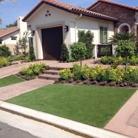 Fake Grass Carpet Cisco, Texas Landscape Photos, Front Yard Landscape Ideas