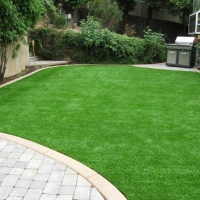 Fake Grass Carpet Springtown, Texas Landscape Ideas