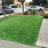 Fake Grass Carpet Tool, Texas Landscape Ideas, Front Yard Landscape Ideas