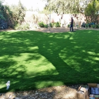 Fake Grass Hudson, Texas Home And Garden, Backyard Garden Ideas