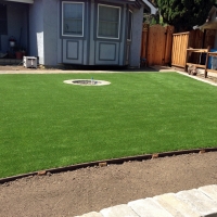 Fake Grass Port Neches, Texas Landscape Photos, Front Yard Landscaping Ideas