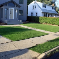 Fake Grass Shavano Park, Texas Landscape Photos, Front Yard Design