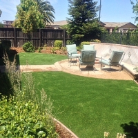 Fake Lawn Brazoria, Texas City Landscape, Backyard Designs