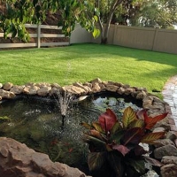 Fake Lawn Crosby, Texas Lawns, Backyard Ideas