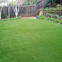 Fake Lawn Elgin, Texas Landscaping Business, Backyard Makeover