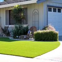 Fake Lawn Penitas, Texas Lawns, Small Front Yard Landscaping