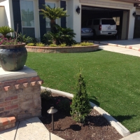 Fake Lawn Primera, Texas Lawn And Landscape, Front Yard Ideas