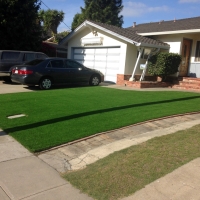 Fake Lawn Teague, Texas Lawn And Landscape, Front Yard Ideas