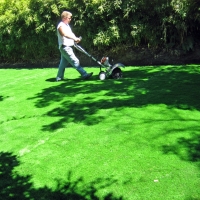 Fake Turf Cienegas Terrace, Texas Lawn And Garden, Backyards