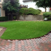 Fake Turf Indian Hills, Texas Landscape Design, Front Yard Landscaping Ideas