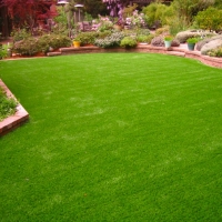 Faux Grass Homestead Meadows North, Texas Home And Garden, Backyard Makeover