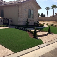 Grass Carpet Brushy Creek, Texas Landscape Ideas, Front Yard Ideas