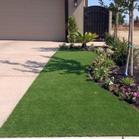 Grass Carpet Crystal City, Texas Garden Ideas, Front Yard