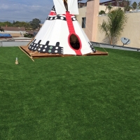 Grass Carpet Hickory Creek, Texas Paver Patio, Roof Top