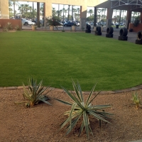 Grass Carpet Madisonville, Texas Lawn And Garden, Commercial Landscape