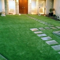 Grass Carpet Midway North, Texas Landscaping Business, Front Yard Design