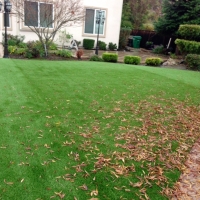 Grass Carpet South Padre Island, Texas Roof Top, Backyard