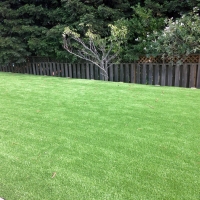 Grass Turf Alvarado, Texas Design Ideas, Small Backyard Ideas