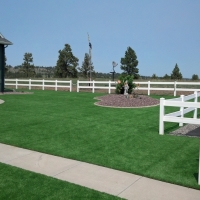 Grass Turf Crockett, Texas Gardeners, Backyard Designs