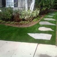 Grass Turf Hollywood Park, Texas Lawn And Garden, Landscaping Ideas For Front Yard