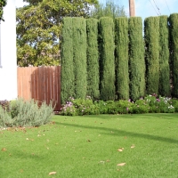 Grass Turf Pottsboro, Texas Design Ideas, Front Yard