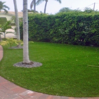 Grass Turf Richmond, Texas Landscape Ideas, Small Front Yard Landscaping