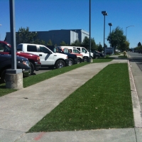 Lawn Services Galveston, Texas Roof Top, Commercial Landscape