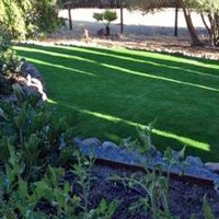 Lawn Services Hempstead, Texas Landscaping Business, Backyard Landscaping Ideas