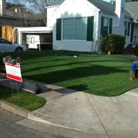 Outdoor Carpet Las Quintas Fronterizas Colonia, Texas Landscape Photos, Front Yard