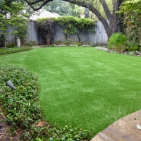 Outdoor Carpet Raymondville, Texas Landscape Ideas, Beautiful Backyards