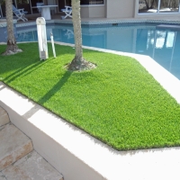 Plastic Grass Flower Mound, Texas Rooftop, Natural Swimming Pools