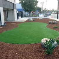 Plastic Grass Palmhurst, Texas Landscape Ideas, Commercial Landscape