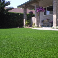 Plastic Grass Tomball, Texas Landscape Design, Front Yard Design