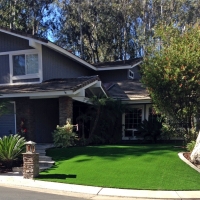 Synthetic Grass Cost Fritch, Texas Landscape Ideas, Front Yard Landscape Ideas